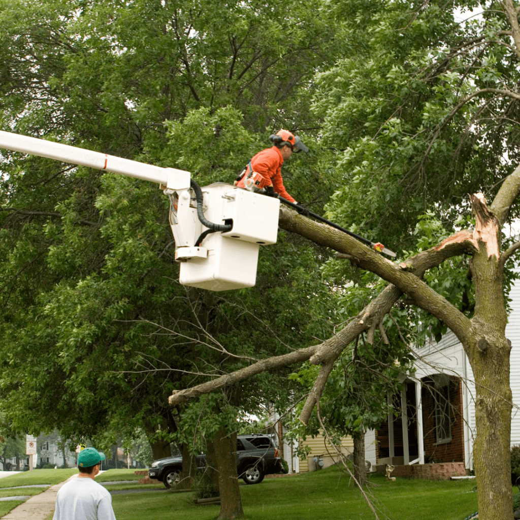 Generators for Home